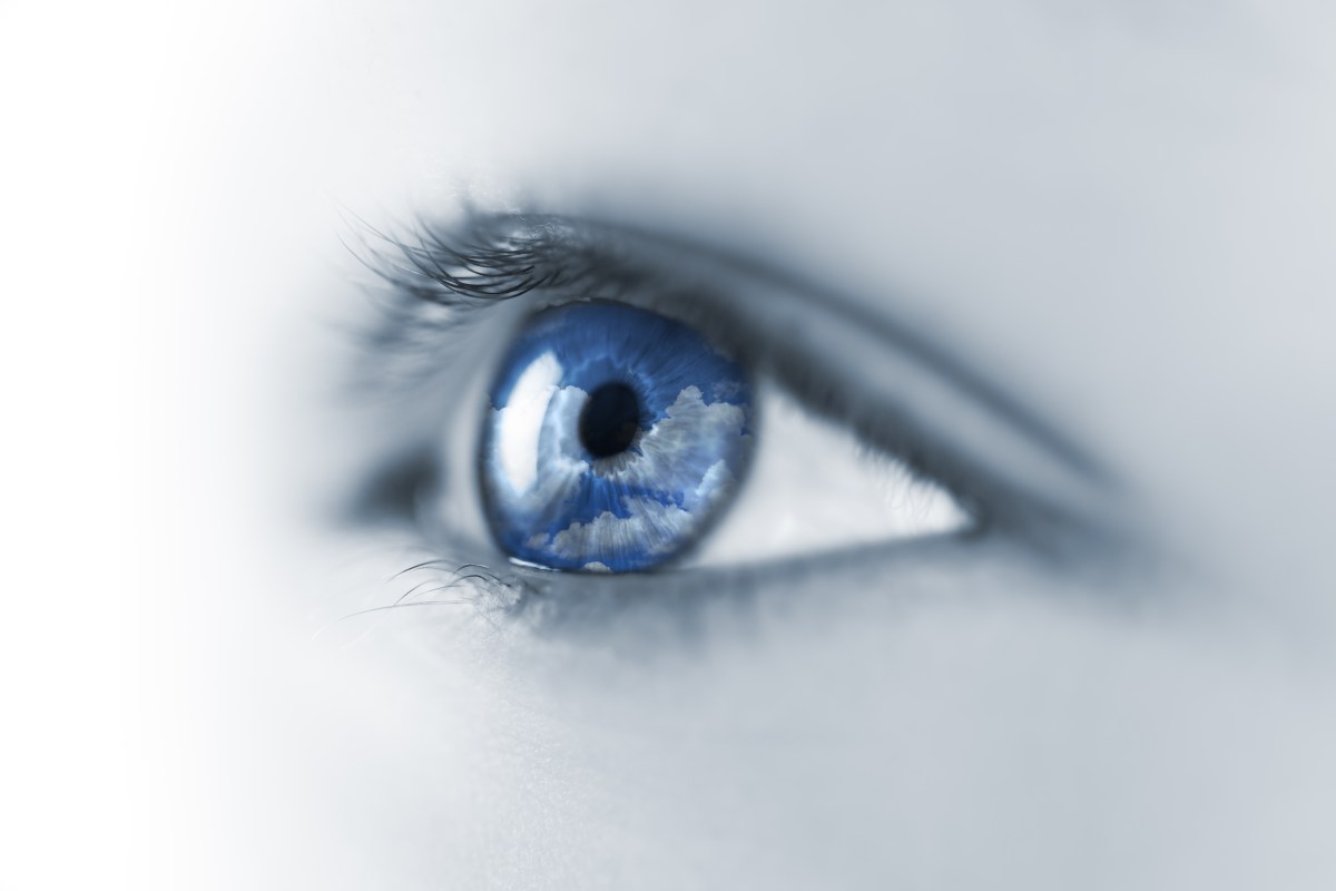 Contact Dr Trent Sandercoe